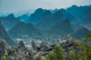 美食冷门小知识