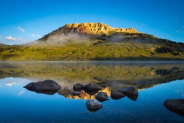 美食冷门小知识