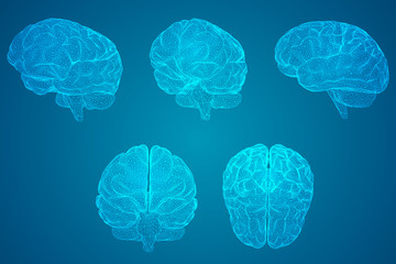 劳动教育活动记录表怎么写？