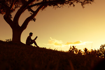 蓝鲸主要分布在哪些地方？