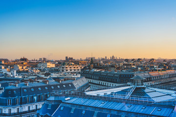 家里养两只猫总是打架要不要分开饲养