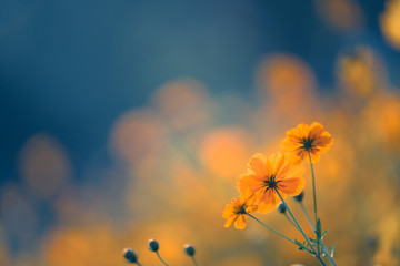 劳动教育活动记录表怎么写？