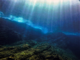 蓝鲸主要分布在哪些地方？