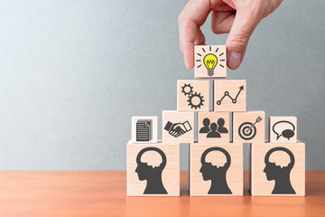 家里养两只猫总是打架要不要分开饲养