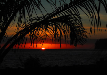 家里养两只猫总是打架要不要分开饲养