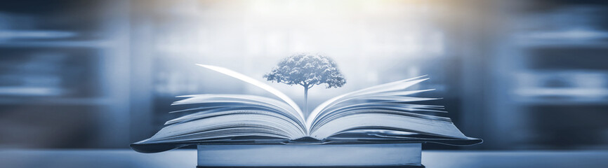 旅游的类型有哪些？