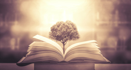 中国古代有几个朝代定都在洛阳