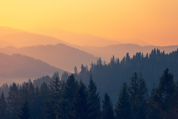 六年级上册数学必考题归纳