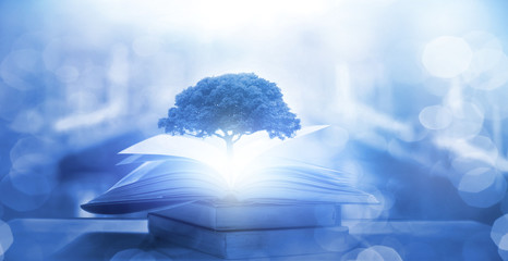 美食冷门小知识