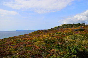 关于足球的数学题100道