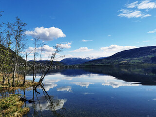 美食冷门小知识