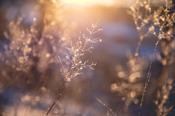 关于足球的数学题100道