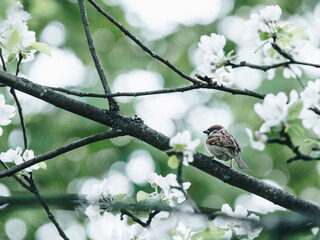 旅游的类型有哪些？