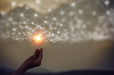 家里养两只猫总是打架要不要分开饲养