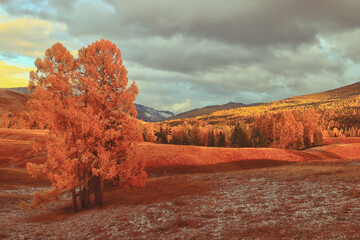 中国历史人物故事有哪些
