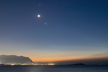 家里养两只猫总是打架要不要分开饲养