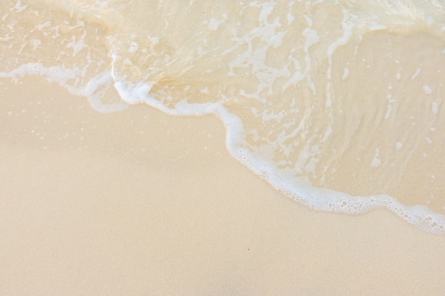 家里养两只猫总是打架要不要分开饲养