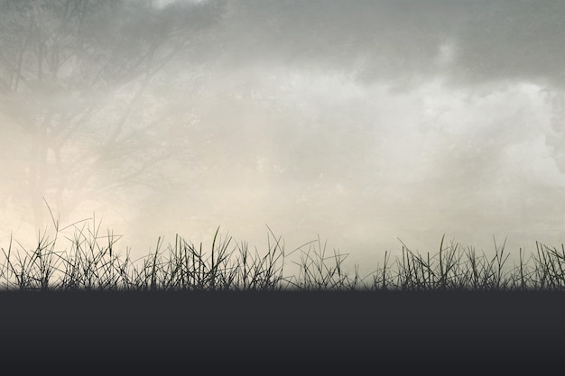 家里养两只猫总是打架要不要分开饲养