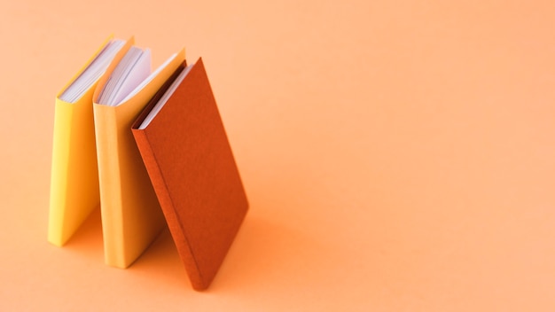 中国古代有几个朝代定都在洛阳