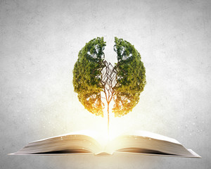 蓝鲸主要分布在哪些地方？