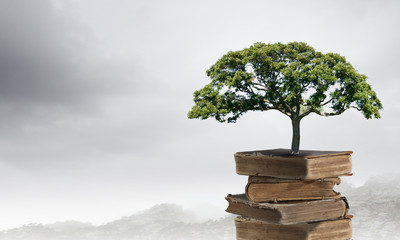 美食冷门小知识