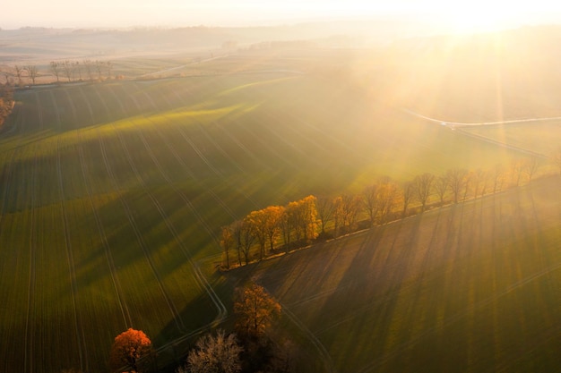 美食冷门小知识