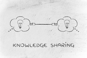 家里养两只猫总是打架要不要分开饲养